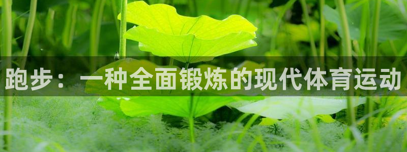 vsport体育在线官网：跑步：一种全面锻炼的现代体育运动