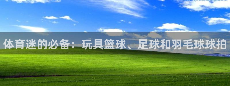 vsport体育：体育迷的必备：玩具篮球、足球和羽毛球球拍