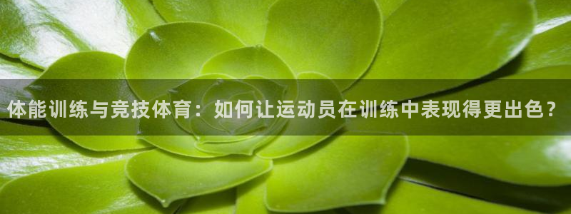vsport体育在线官网：体能训练与竞技体育：如何让运动员在训练中表现得更出色？
