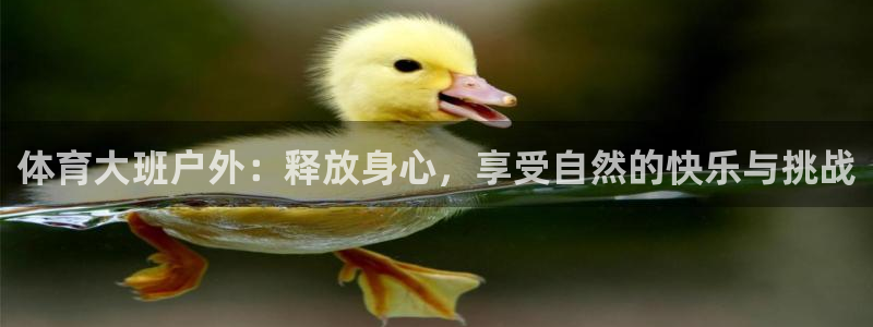 vsport体育在线官网：体育大班户外：释放身心，享受自然的快乐与挑战