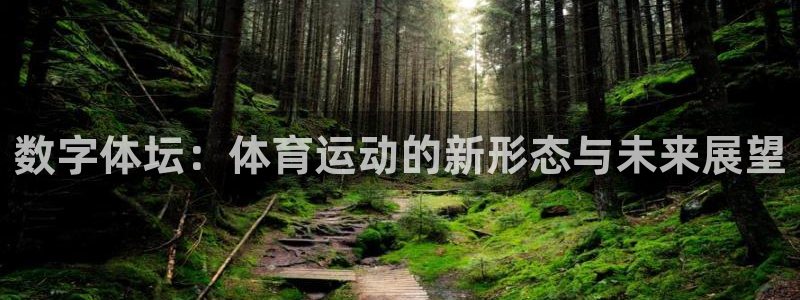 vsport体育在线官网：数字体坛：体育运动的新形态与未来展望