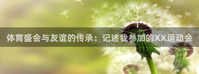 vsport体育：体育盛会与友谊的传承：记述我参加的XX运动会