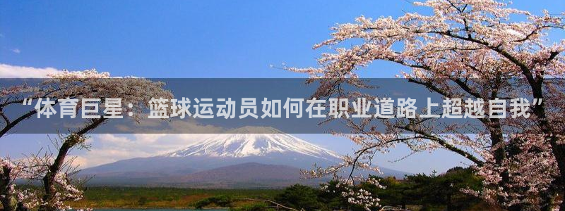 vsport体育在线官网：“体育巨星：篮球运动员如何在职业道路上超越自我”