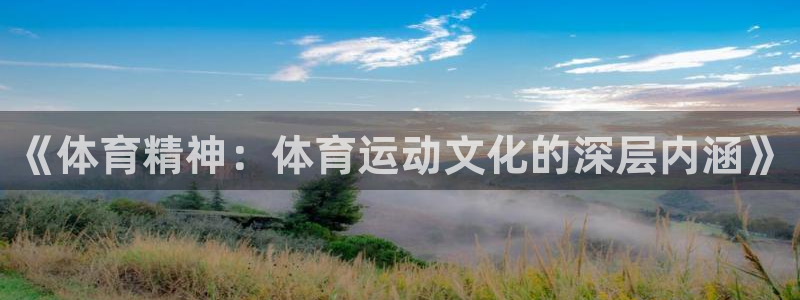 vsport体育在线官网：《体育精神：体育运动文化的深层内涵》