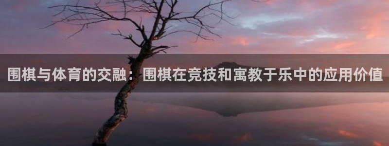 vsport体育在线官网：围棋与体育的交融：围棋在竞技和寓教于乐中的应用价值