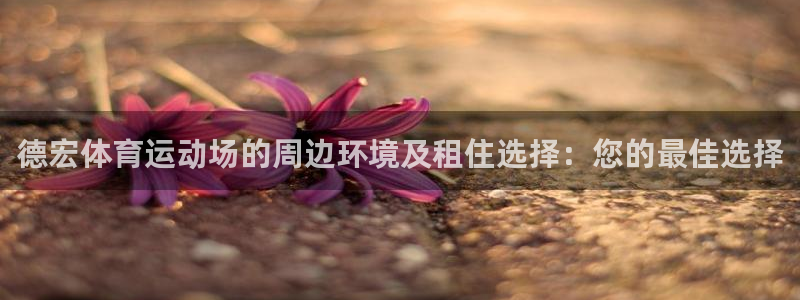 vsport体育：德宏体育运动场的周边环境及租住选择：您的最佳选择
