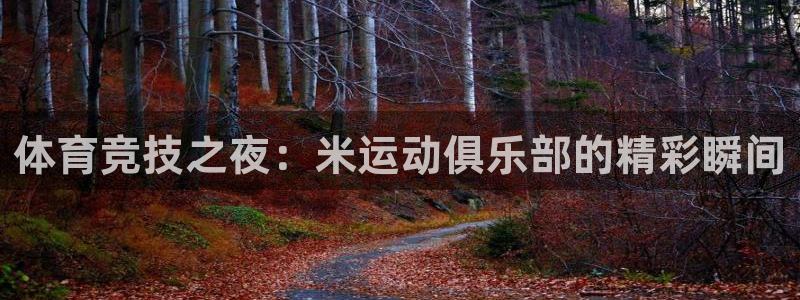vsport体育在线官网：体育竞技之夜：米运动俱乐部的精彩瞬间