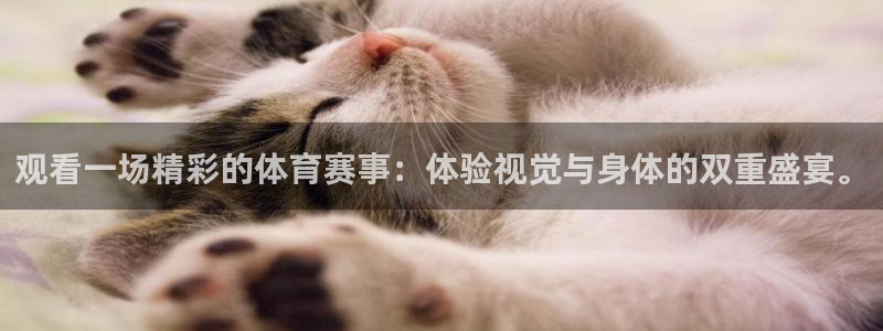 vsport体育在线官网：观看一场精彩的体育赛事：体验视觉与身体的双重盛宴。